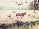 Sometimes I Wish We Were An Eagle [VINYL] Bill Callahan Vinyl