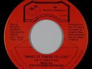 Modern Soul 45 - Chosen Few Band - What It Takes To Live - BR - NM mp3 - rare