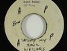Bob Marley & the Wailers 