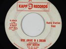 Northern Soul 45 - Jerry Jackson - Wide Awake In A Dream - Kapp - mp3
