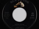 Northern Soul Popcorn 45 - Lenny Miles - Living Dream - RCA Victor - mp3