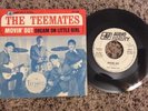 Garage 45 The Teemates  Movin Out  Picture Sleeve Promo Audio Fidelity