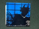 The Mob Let The Tribe Increase 33RPM  vinyl LP 1980s Punk rare blue cover