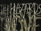 The Decemberists - The Hazards Of Love Vinyl LP Rough Trade/Beggars Group NEW