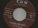 DOOWOP R&B - NOBLETONES- I LOVE YOU  /  IM REALLY TOO YOUNG -HEAR BOTH -1958 C&M