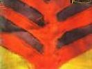YEAH YEAH YEAHS - Show Your Bones - Vinyl LP 2006 Interscope Records SEALED