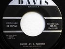 DOVERS 45 Sweet as a flower / Boy in my life DAVIS  Doowop kz 2