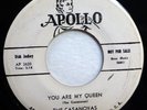 CASANOVAS 45 You are my queen / Good lookin' baby APOLLO DJ  Doowop kz 13