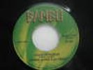 ANIBAL LOPEZ peru 45 PANCHO MALANDRO / JAMAS IMPEDIRAS latin SALSA BAMBU VG+ N/A