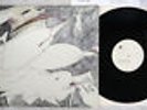 RUDIMENTARY PENI ECHOES OF ANGUISH OUTER HIMALAYAN BOOBOO 6 UK VINYL LP