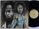 HUGH MUNDELL Jah Fire LP on Arawak