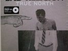 Bad Religion ?– True North Vinyl Inc CD  Epitaph ?2013 NEW & SEALED