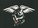AMERICAN NIGHTMARE - American Nightmare - Vinyl (LP)