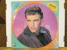 Ricky Nelson greatest hits picture disc album