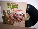 A CHILD'S GARDEN OF GRASS (A Pre-Legalization Comedy) Elektra 1971 Hippie LP