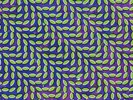 Merriweather Post Pavilion [LP] by Animal Collective (Vinyl, Jan-2009, Domino...