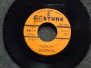 THE EARTHQUAKES Bashful Guy FORTUNE 534 Listen