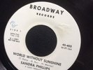 Sandra Phillips, World Without Sunshine / Oki