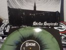 The Lillingstons - Stella Sapiente  PopPunk ColorVinyl Nofx Lagwagon Blink182