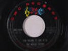 MILLER SISTERS: I'm Telling It Like It Is / Until You Come Home I'll Walk Alone