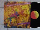 PETER HERBOLZHEIMER RHYTHM COMBINATION & BRASS - LATIN GROOVE KOALA P 13 D87 TOP