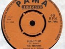 The TERMITES UK1968 Rocksteady 7