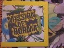 MISSION OF BURMA s/t RYKO ANALOGUE (AAA) clear vinyl 2-LPs 