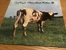 PINK FLOYD ATOM HEART MOTHER  (Purple Vinyl)