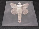 Aurora Vinyl Album (NEW) - All My Demons Greeting Me As A Friend