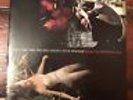 Nick Cave and the Bad Seeds Kylie Minogue Where’s the Wild Roses Grow 7
