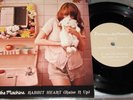 FLORENCE + THE MACHINE RABBIT HEART (RAISE IT UP) AND UK IMPORT 2009 UNPLAYED