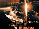 Rick Wakeman The Burning (1981 Original Soundtrack) [Vinyl LP] Neu