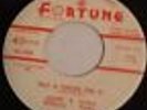 Andre Williams I'm All For You Put A Chain On It Rare Fortune Records Promo 45