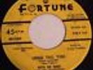 Pete De Bree And The Wanderers Long Tall You Hey Mr Presley Fortune Doo Wop 45