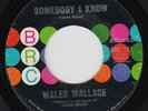 WALES WALLACE Somebody I Know RARE northern soul 45 STUNNING COND crossover HEAR