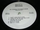 BRUCE SPRINGSTEEN LP Route 9 ROULETTE Dr. Zoom & Sonic Boom Generic Cover