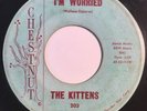 * KITTENS I'm Worried / Count Every Star GIRL GROUP DOO WOP R&B Chessnut 45 Hear