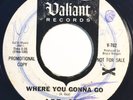 * ART GUY Where You Gonna Go/Teenage Millionaire FUZZ GARAGE Valiant 45 Hear