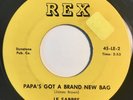 * LE SABRES Papa's Got A Brand New Bag JAMES BROWN GARAGE SOUL FUNK Rex 45 HEAR