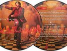 Michael Jackson BOTDF BLOOD ON THE DANCE FLOOR HISTORY UK PROMO PICTURE DISC LP