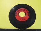 VHTF The Wailers GARAGE ROCK TITTYSHAKER Etiquette ET-2 Mashi / Velva
