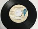 THE NEWCOMERS-Girl This Boy Loves You/Open Up Your Heart- Rare WLP Soul Funk 45