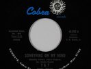 70s Soul 45 - T & T - Something On My Mind - Cobra - VG++ mp3