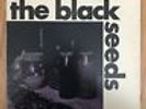 THE SOUND TREK, THE BLACK SEEDS Self-Titled LP PRIVATE PRESS RARE SOUL EX COPY