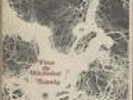 Strawbs From The Witchwood - 1st - VG UK vinyl LP album record AMLH64304 A&M