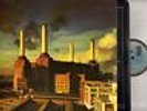 PINK FLOYD animals (original uk press) LP EX+/EX+ SHVL 815 gatefold prog rock