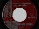 Latin Soul Jazz Popcorn 45 - Johnny Hartsman - Besame Mucho - Red Fire - mp3