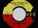 Northern Soul 45 - Radiants - One Day I'll Show You - Chess - VG+ mp3