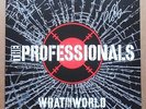 THE PROFESSIONALS AUTOGRAPHED WHAT IN THE WORLD LP VINYL SEX PISTOLS PUNK Oi