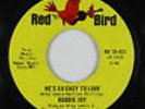 Northern Soul 45 - Roddie Joy - He's So Easy To Love - Red Bird - VG+ mp3